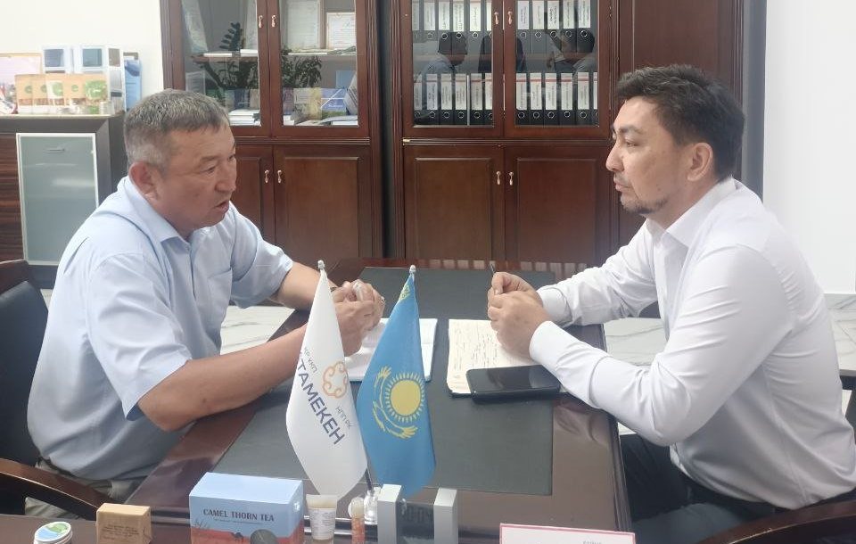 «Бір ауыл – бір өнім»: күнгей мен көлеңке