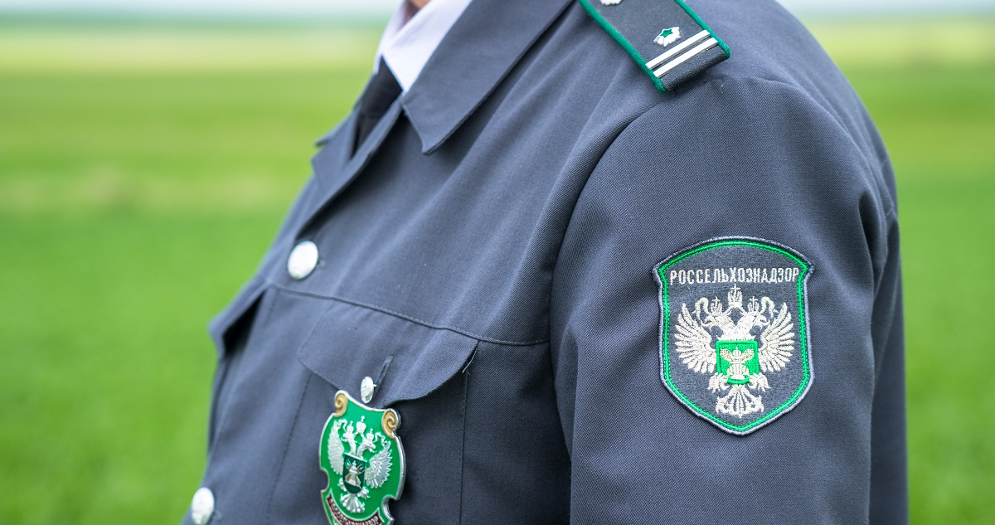 Ресей Қазақстанды санкцияланған тауарларды тасымалдағаны үшін айыптады